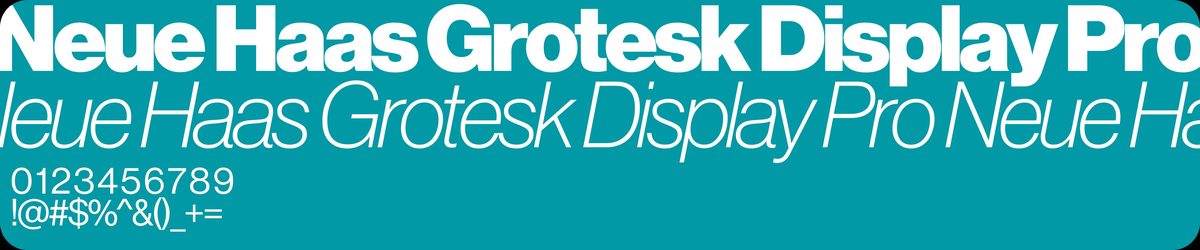 Neue Haas Grotesk Display Pro